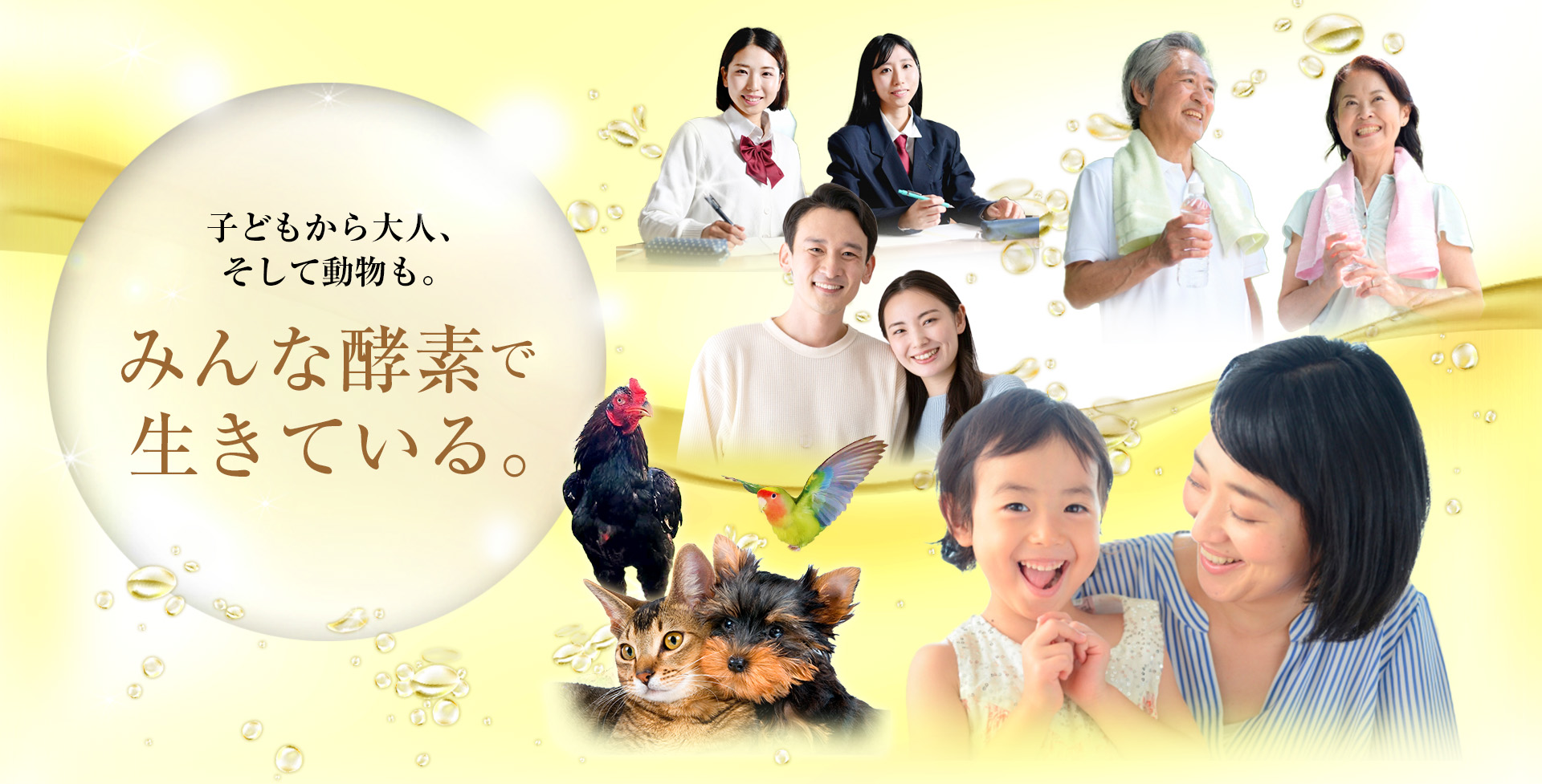 『ちむ酵素』代理店募集「子どもから大人、そして動物も。みんな酵素で生きている」