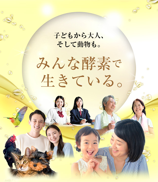 『ちむ酵素』代理店募集「子どもから大人、そして動物も。みんな酵素で生きている」